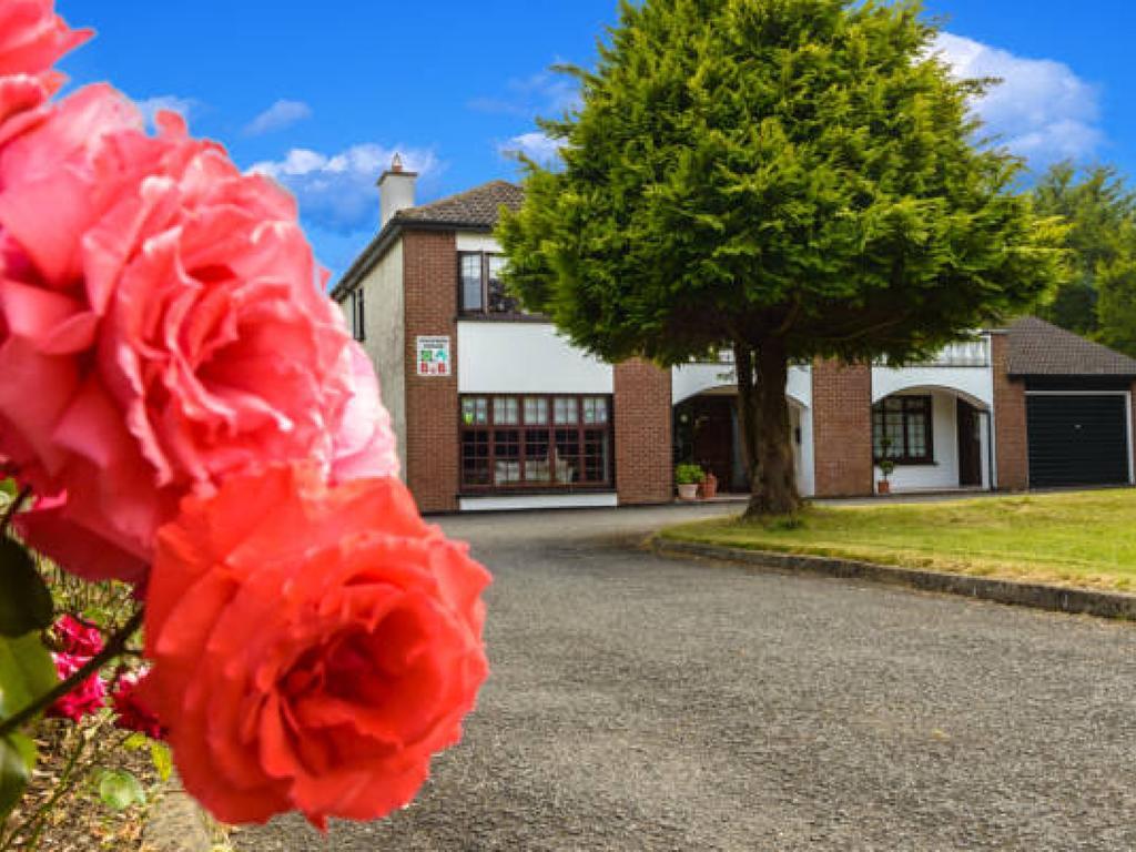 Killowen House B&B โดรฮาดา ภายนอก รูปภาพ